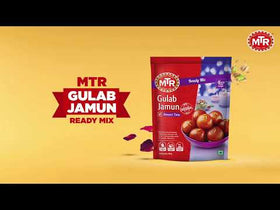 MTR Gulab Jamun Mix 500 g